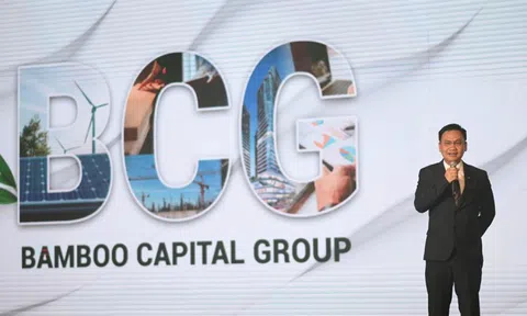 Bamboo Capital (BCG) "rót" thêm 500 tỷ đồng vào công ty năng lượng